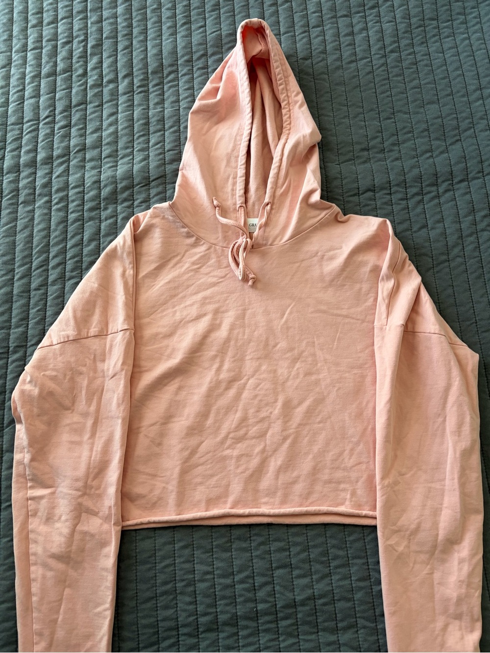 Luca + Grae Cropped Hoodie Blush Pink Lightweight Pullover L Oversized